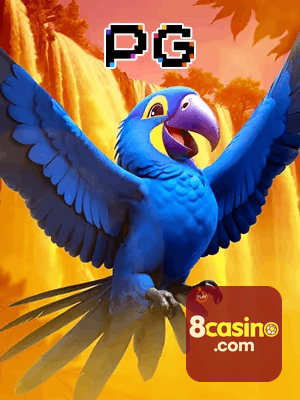 8CASINO bônus — cashback 15 por cento e níveis VIP