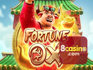 8CASINO login — painel de entrada no app oficial